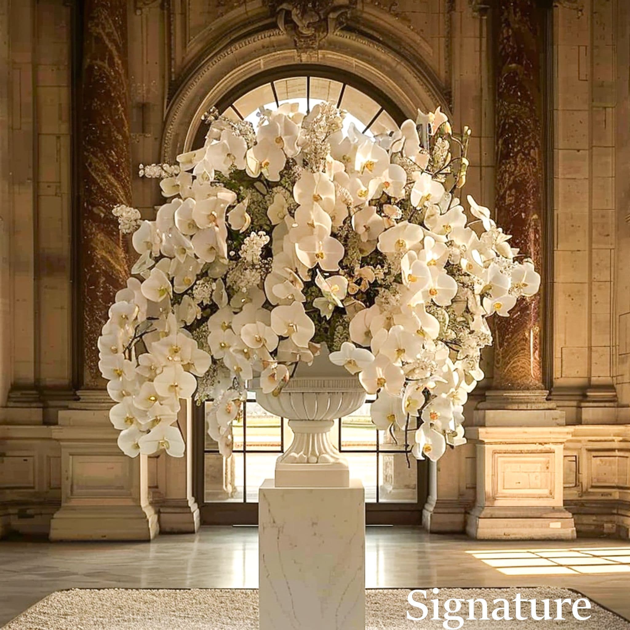 Éblouissante Opulence d’Orchidées